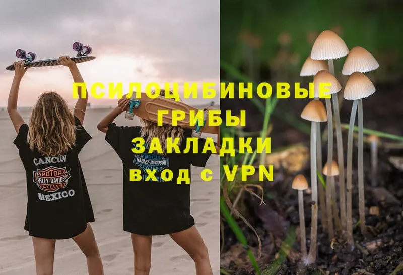 Галлюциногенные грибы MAGIC MUSHROOMS  мориарти какой сайт  Нягань  купить закладку 